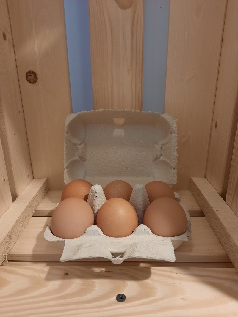 Oeufs frais gros calibre x6