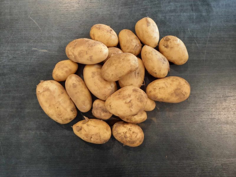 Pomme de terre primeur 5 Kgs