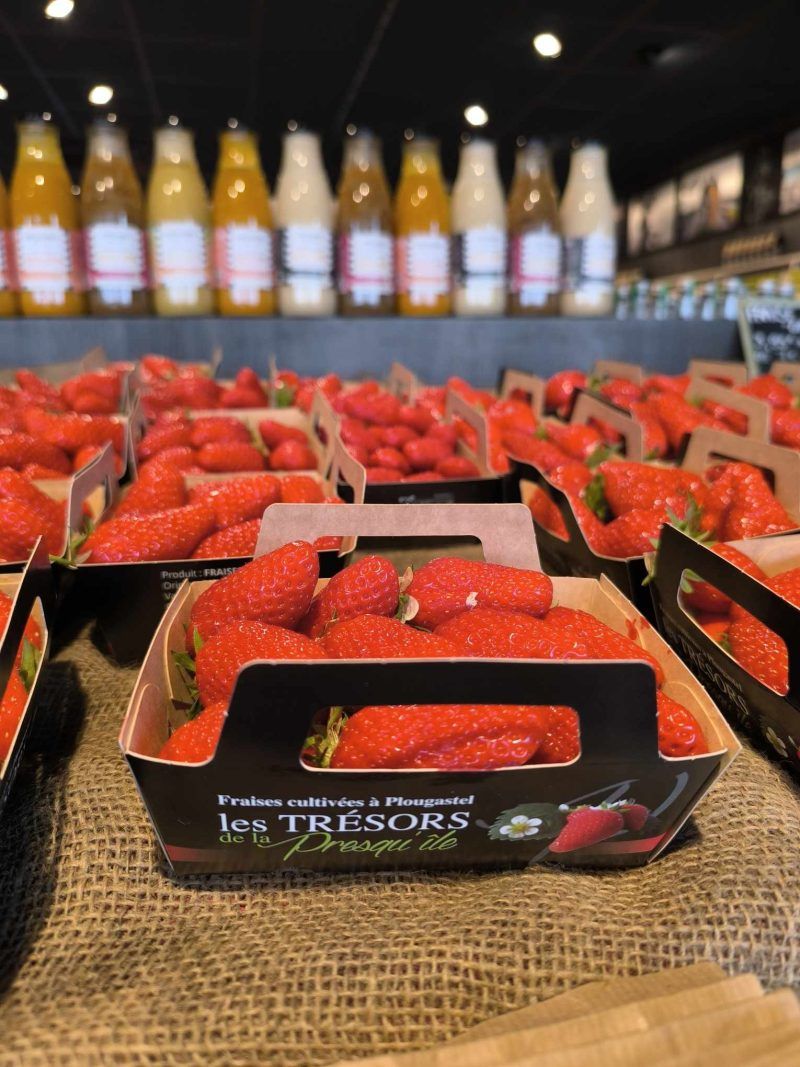 Fraise de Plougastel 250g - uniquement le vendredi et le samedi - – Image 2