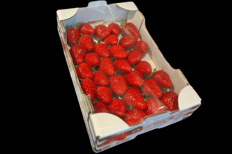 Fraises de Plougastel 800g - uniquement le vendredi et le samedi -